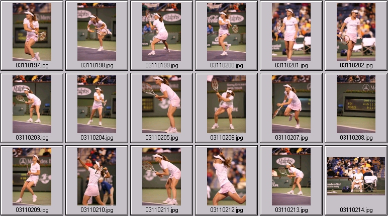 hingis