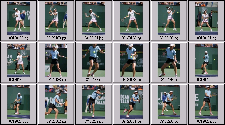 bammer-hingis