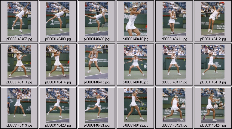 sharapova
