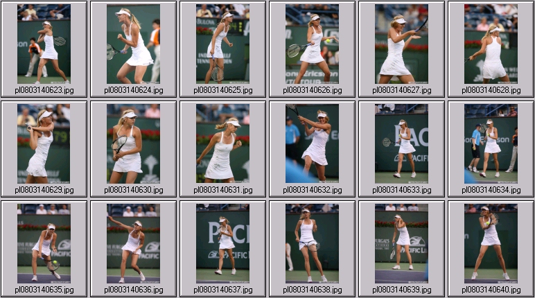 maria sharapova