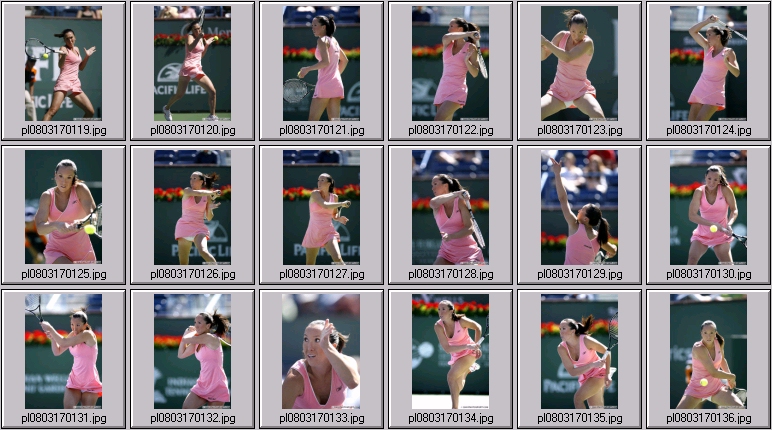 jelena jankovic