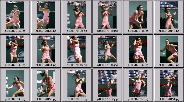 jelena jankovic