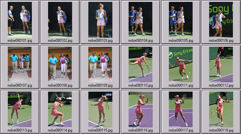 dementieva photos