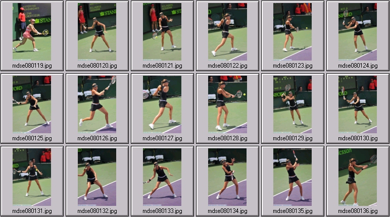 dementieva photos
