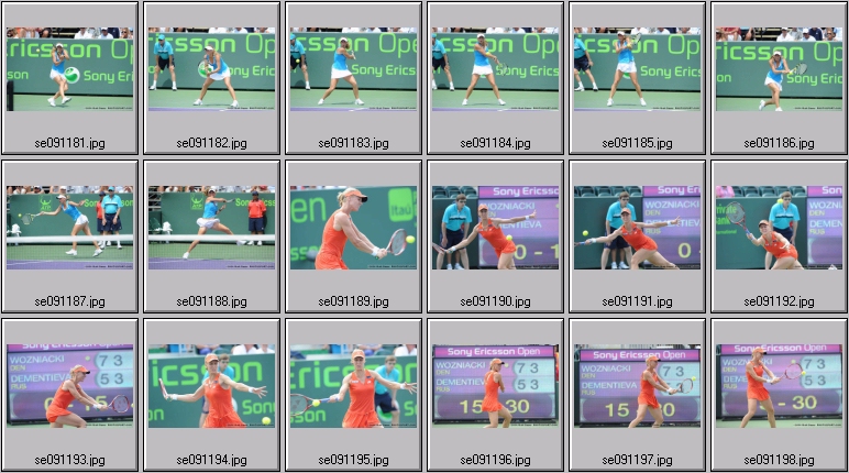 dementieva photos
