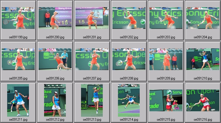 dementieva photos
