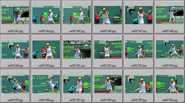 wozniacki photos