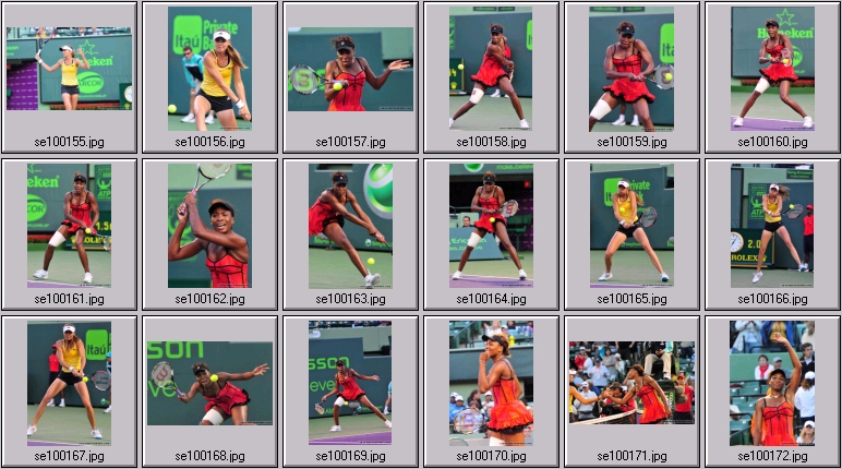 venus williams