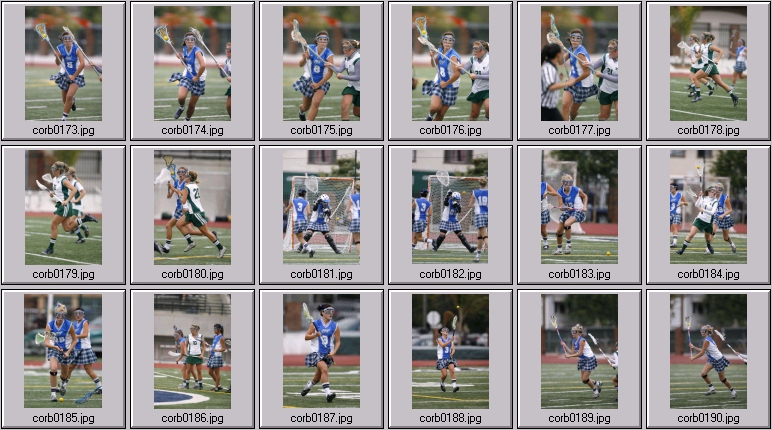 women's lacrosse