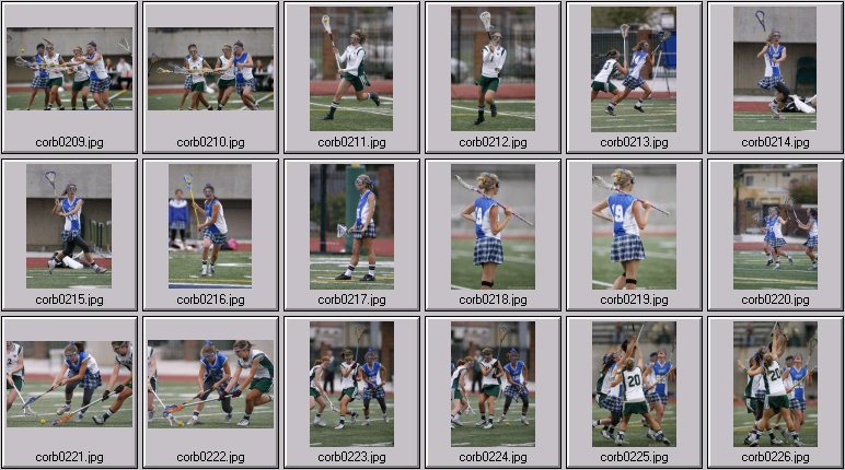 women's lacrosse