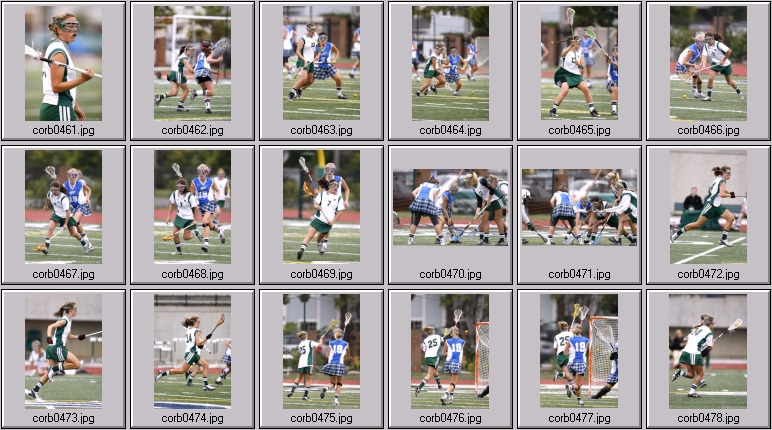 women's lacrosse