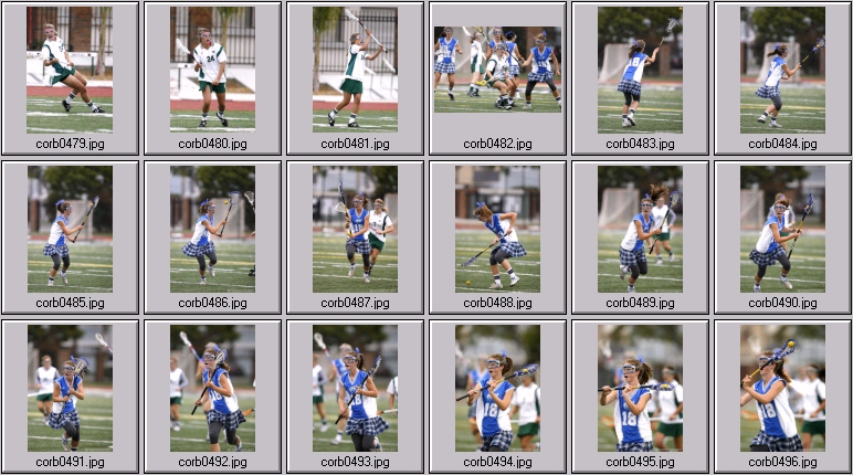 women's lacrosse