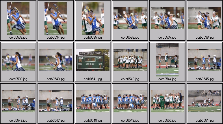 women's lacrosse