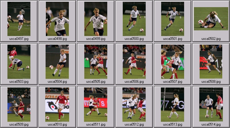 aly wagner soccer