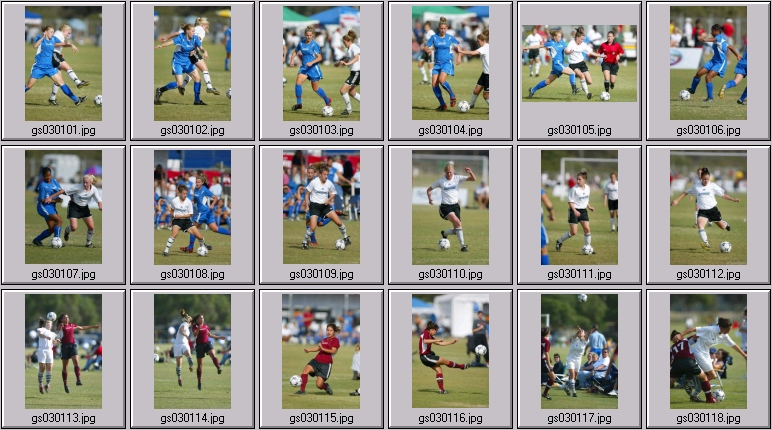 surf cup