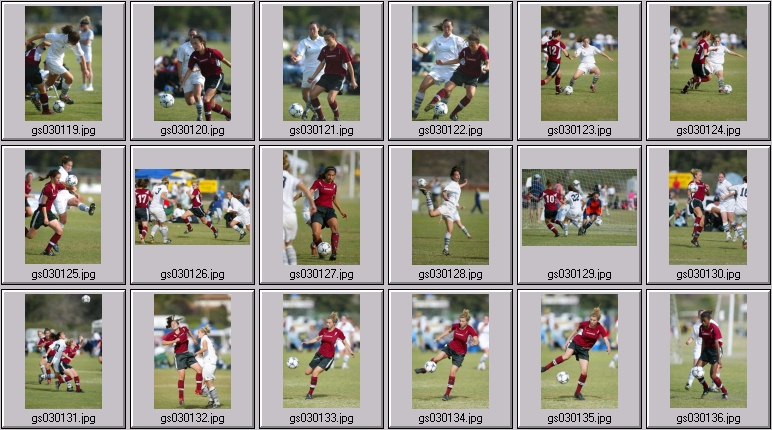 surf cup
