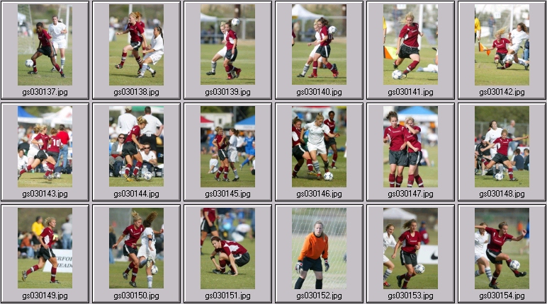 surf cup