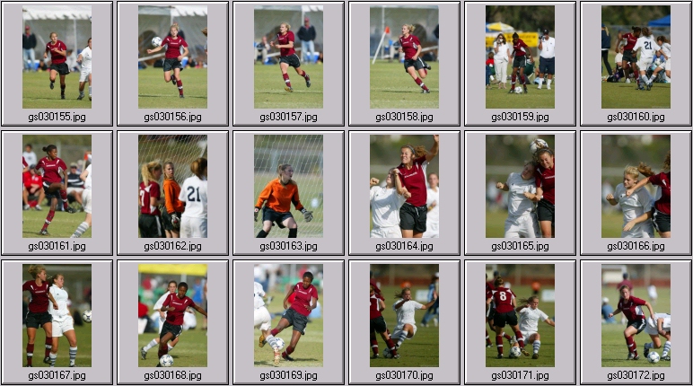 surf cup