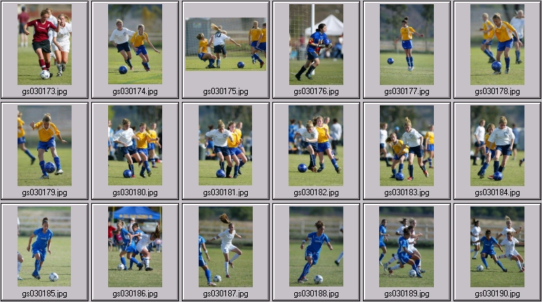 surf cup