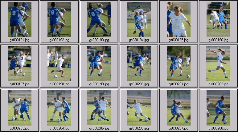 surf cup