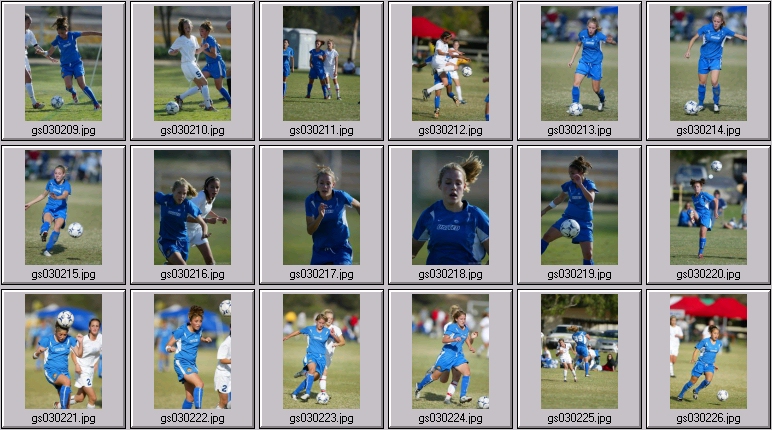 surf cup
