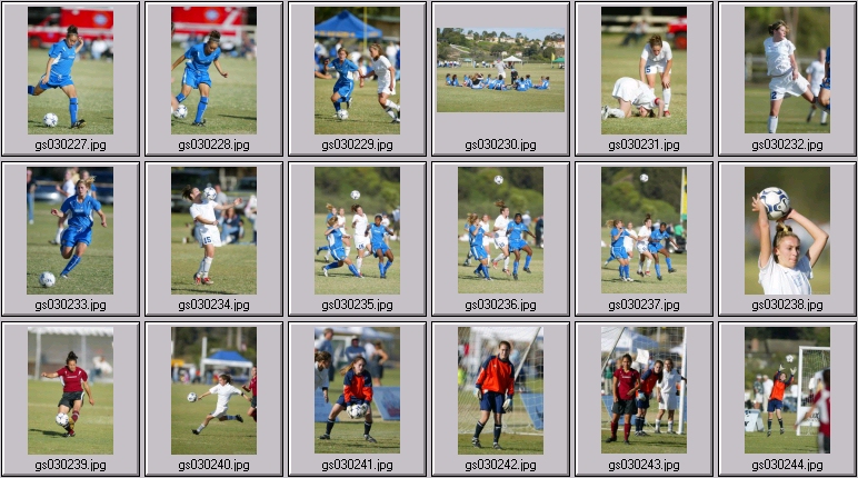 surf cup