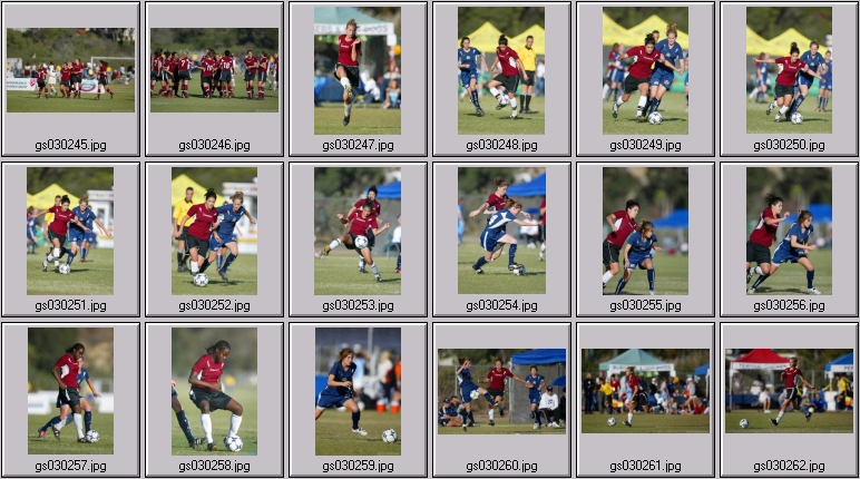 surf cup
