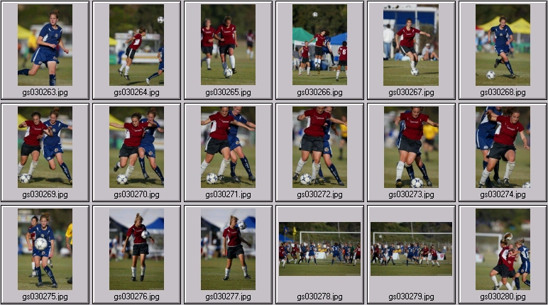 surf cup