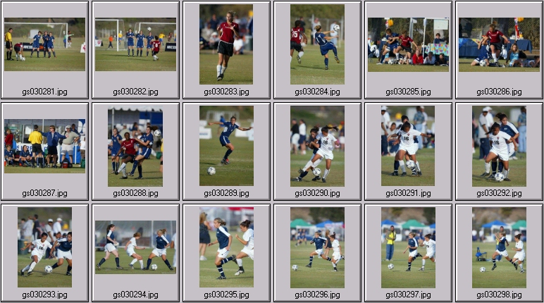 surf cup