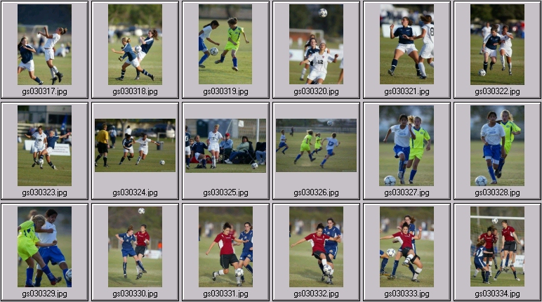 surf cup