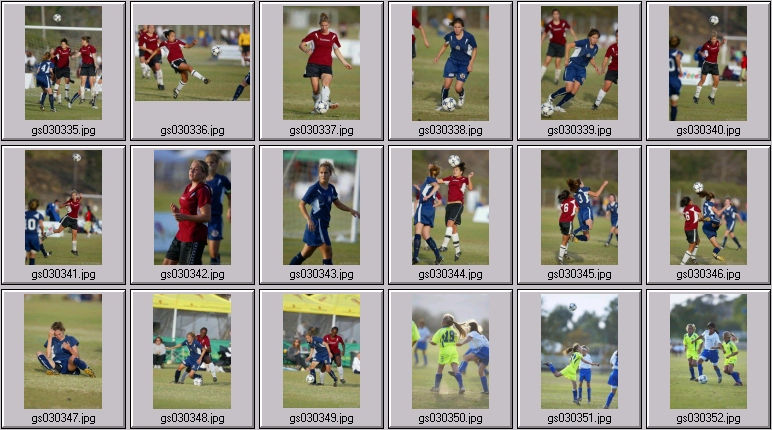 surf cup