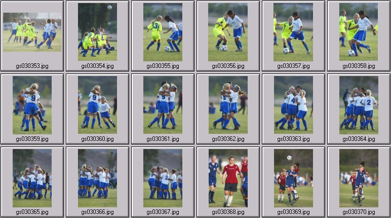 surf cup