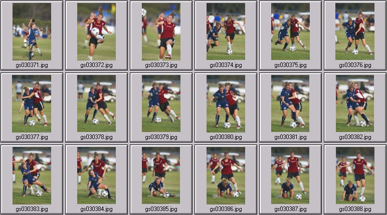 surf cup