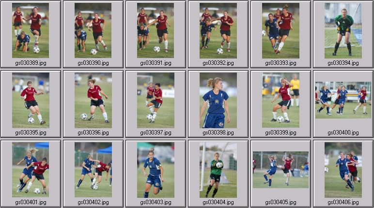 surf cup
