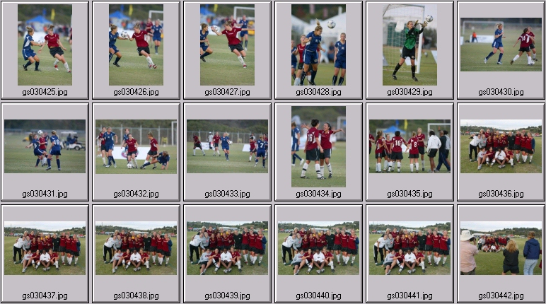 surf cup