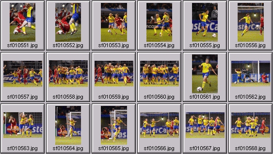 womens soccer