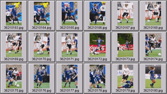 wusa womens soccer
