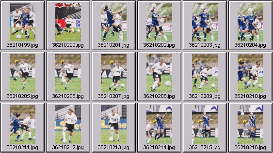 wusa womens soccer