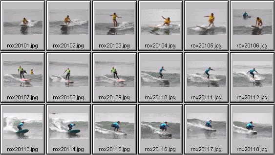 surfer girls