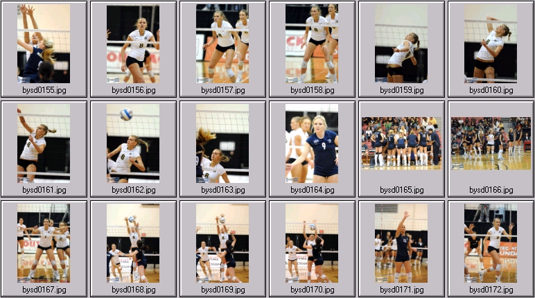 volleyball