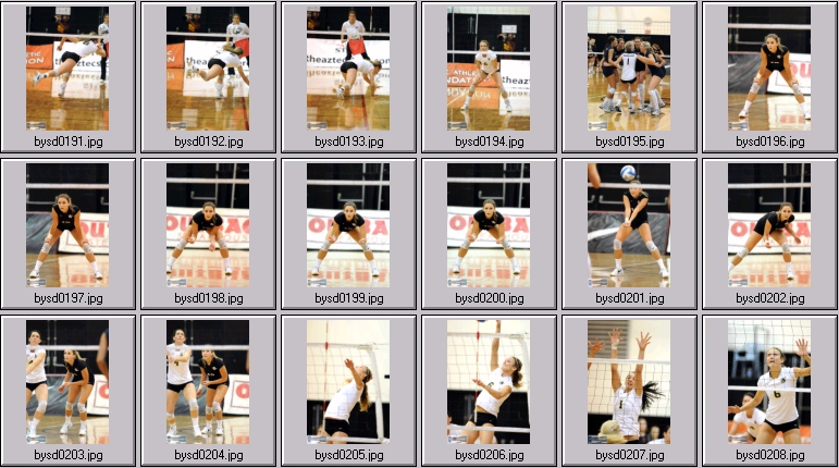 volleyball