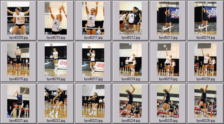 volleyball