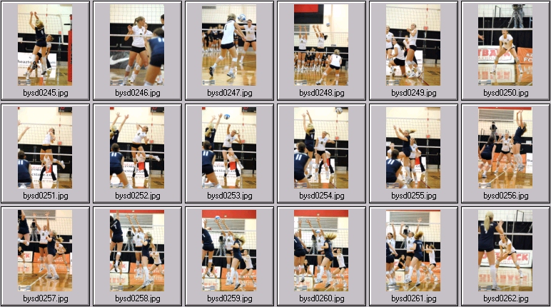 women's volleyball