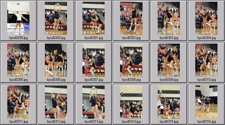 women's volleyball