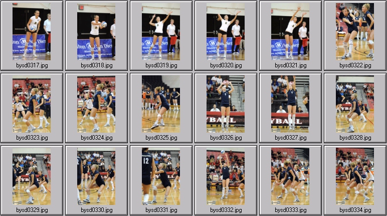 women's volleyball