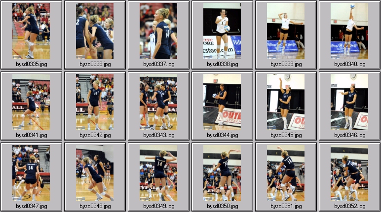 women's volleyball