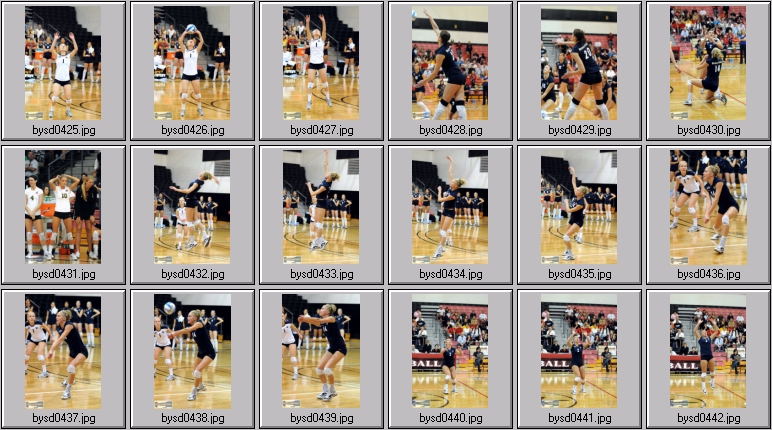 women's volleyball
