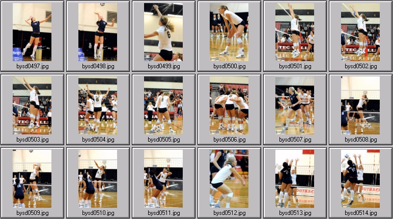 women's volleyball