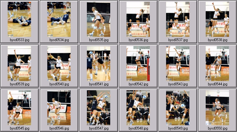 women's collegiate volleyball
