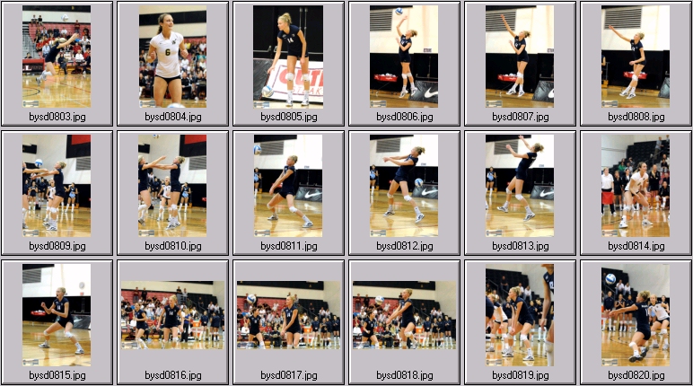 women's volleyball